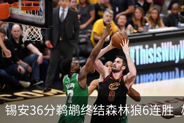 锡安36分鹈鹕终结森林狼6连胜 雄鹿险胜公牛